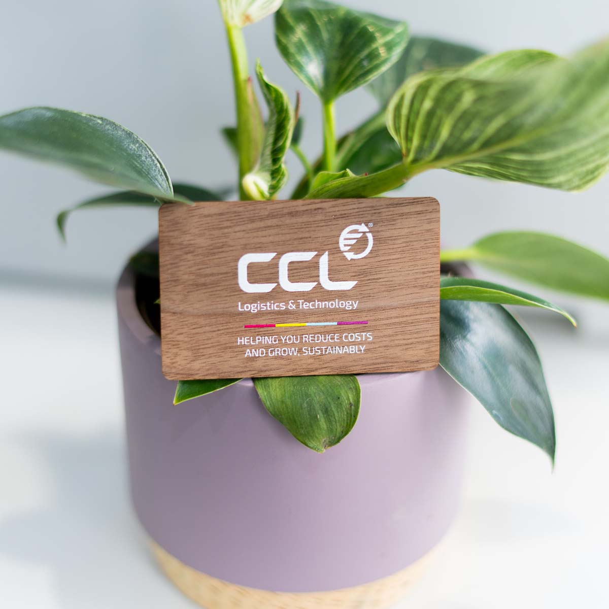 Black Walnut Wooden Digital Business Card - Media 3